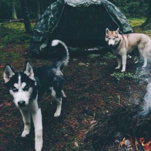 Meet your Posher, Kate r